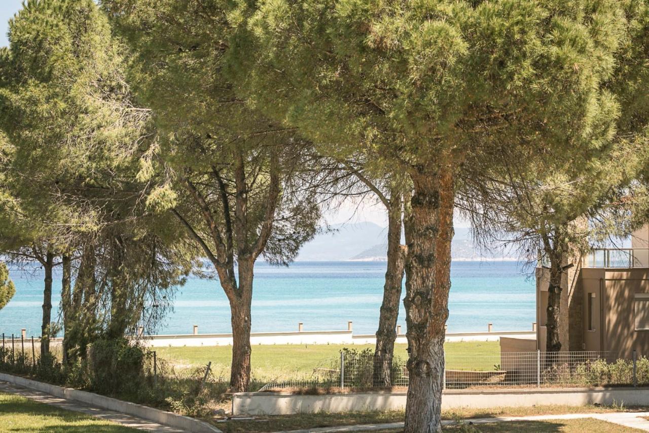 #Flh - Amalthia & Αthena Beachfront Houses In Pefkohori Zewnętrze zdjęcie